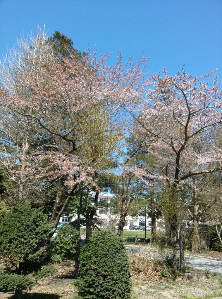 IMG00074