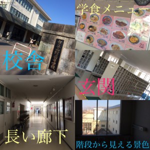 school01