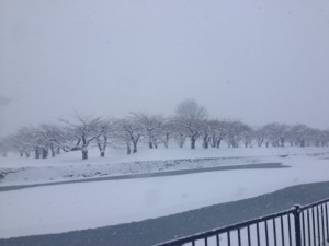 snow_landscape